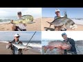 Cabo's Surf Fishing Seasons.