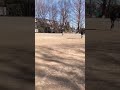 すみれゆりのお正月の凧揚げ