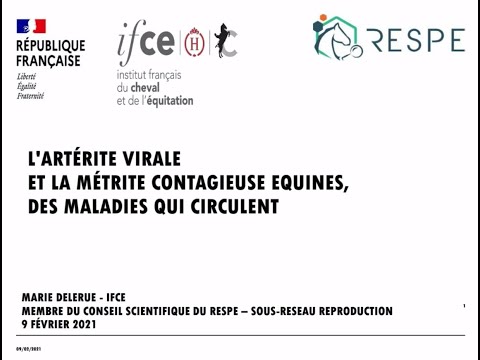 Vidéo: Métrite Contagieuse équine (CEM) Chez Les Chevaux