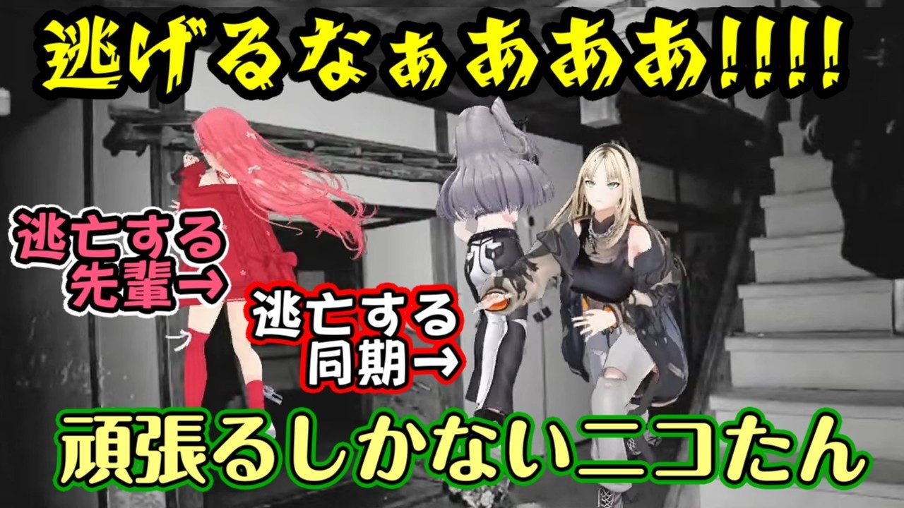 ホラゲを頑張るも、転げたり逃亡したりの【響咲リオナ】と【さくらみこ】の尻拭いのレベルで特大の怪異を一人で報告する【虎金妃笑虎】w【ホロライブ/切り抜き】