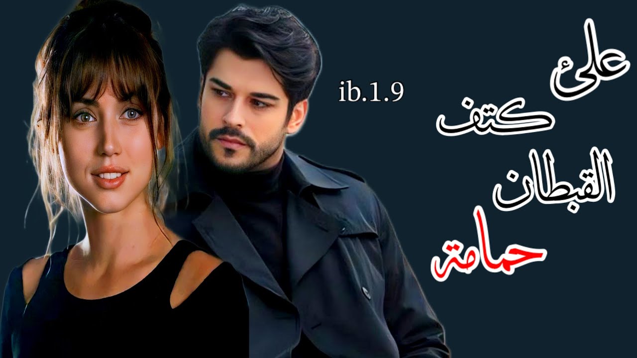 #قصةعلى كتف القبطان حمامة الجزء25 #قصص_بصوت