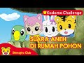 Tempat Persembunyian Rahasia I Kartun Anak I Kodomo Challenge