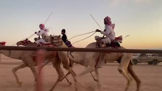 (مركاض ميدان البدع)المركز. الاول: الفارس/صالح سليم العميري