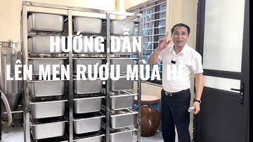 Lưu Ý Quan Trọng Khi Lên Men Rượu Mùa Hè Không Chua | Thiết Bị Thái An
