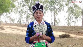 Kab xia yaj kwv txhiaj hmoob xeev nkauj nraug nyob deb