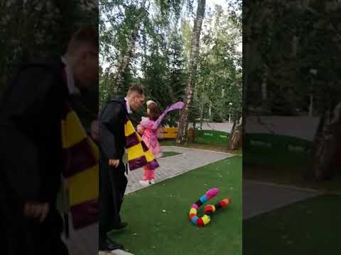26 сентября 2020