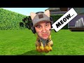 Cat Simulator (meow)