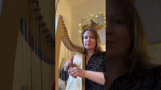 How does this harp sound? Derwent Adventurer 20  #harpmusic #harps #leverharp