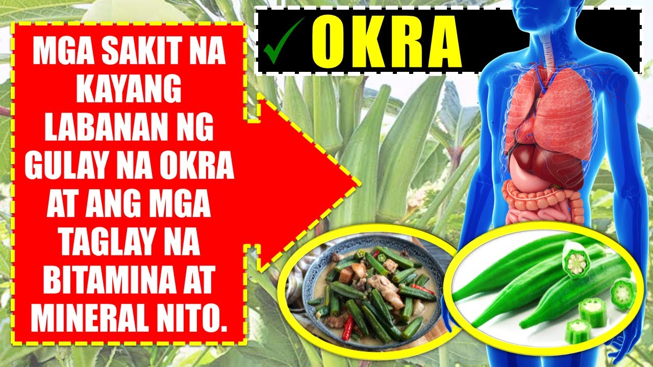 MGA SAKIT NA KAYANG LABANAN NG OKRA O LADY'S FINGER [W/ SEMIENGLISH