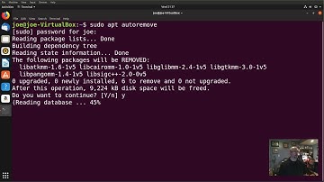 Ubuntu 18 / 18.10 System Cleaning With Autoremove