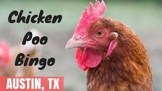 Things To Do In Austin- Chicken Poo Bingo