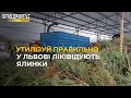 У Львові продовжують утилізувати ялинки