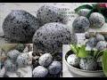 Камушки из фоамирана Stones from foamiran