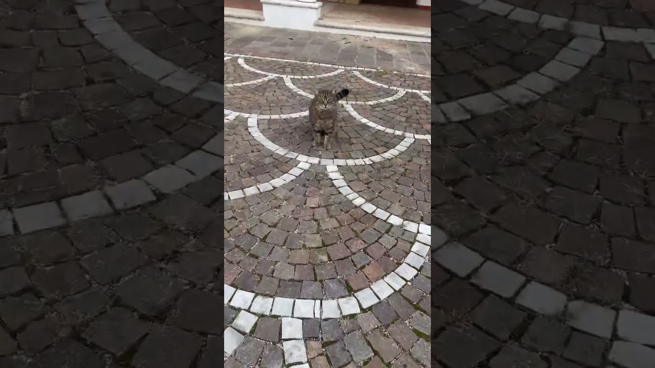 Guarda chi c’è !!!