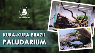 #77 - PALUDARIUM KURA-KURA BRAZIL | SET UP