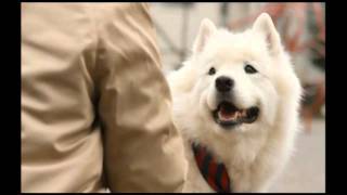 劇場版『犬飼さんちの犬』 - YouTube