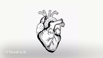 إذ يقول لصاحبه لا تحزن انا الله معنا تلاوه باكيه ومؤثره للشيخ ياسر الدوسري