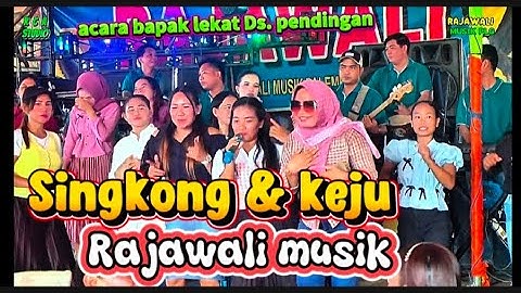 SINGKONG & KEJU | OM. Rajawali MusikPalembang| acara bapak lekat ds. Pendingan semangus record