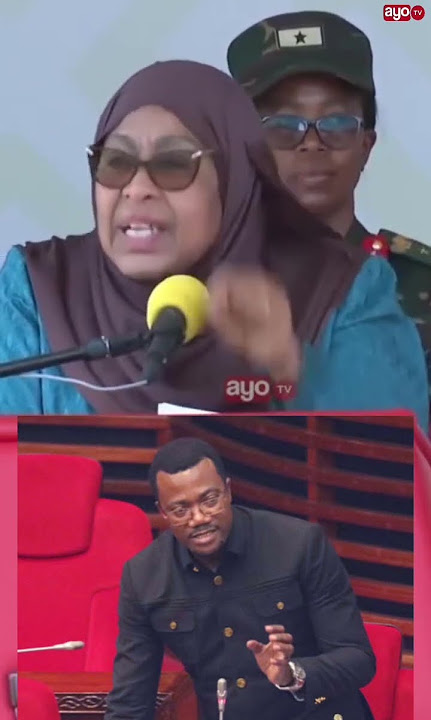 RAIS SAMIA AMLIPUA MBUNGE MPINA “HUYU SIO MBUNGE WA JIMBO, ANATAFUTA UMAARUFU”