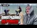 Херсонщина: FPV-дроны, руины и виноградники: репортаж из прифронтовой громады