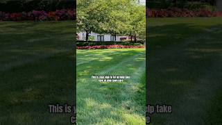 A clean lawn sets the tone for everything around it.