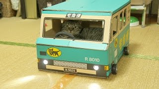 あなたも作ってみませんか リアル猫のクロネコ宅急便にハマる人続出 Grape グレイプ あなたも作ってみませんか リアル猫のクロネコ宅急便にハマる人続出 Grape グレイプ