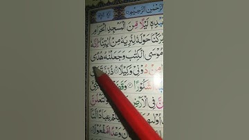 قارئ رحاب الباكستاني #باكستان