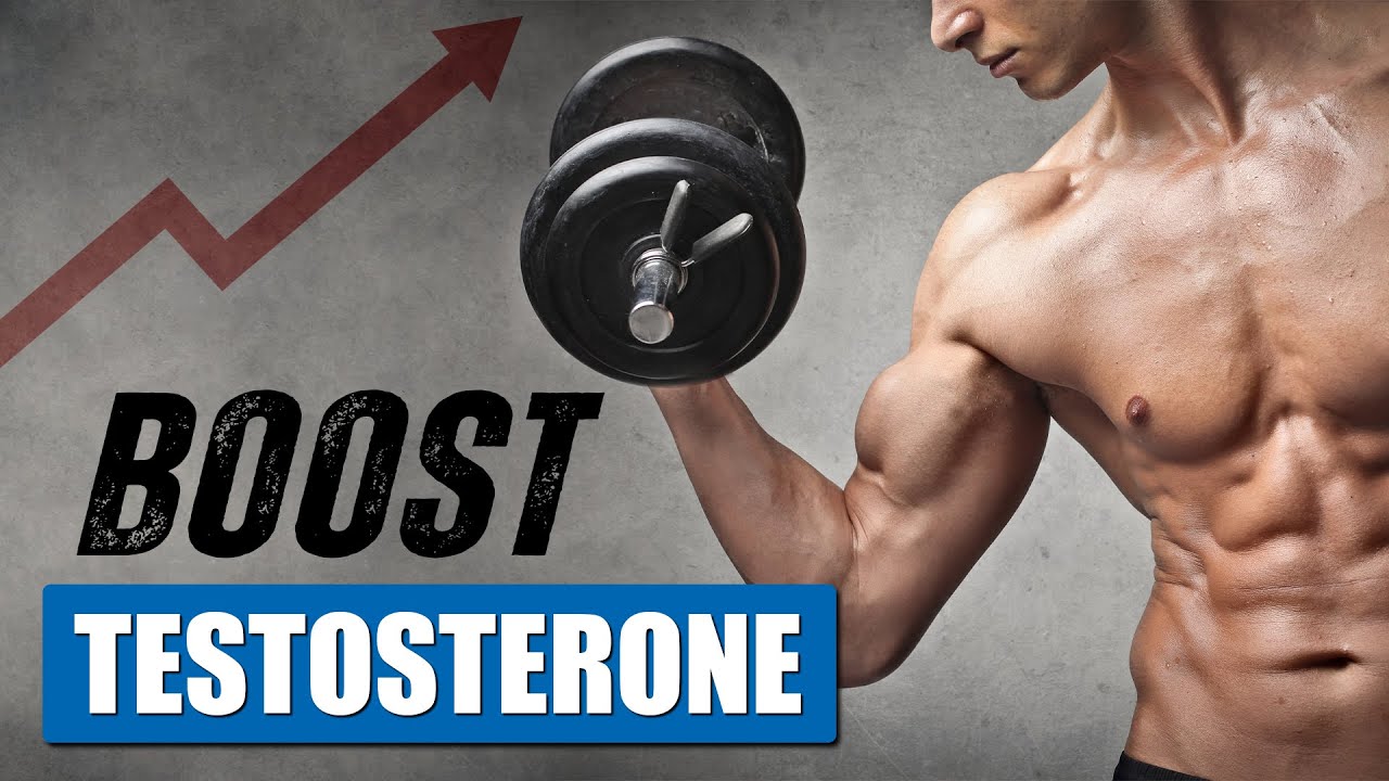 How To Raise Men S Testosterone Naturally How To Raise Men S Testosterone Naturally