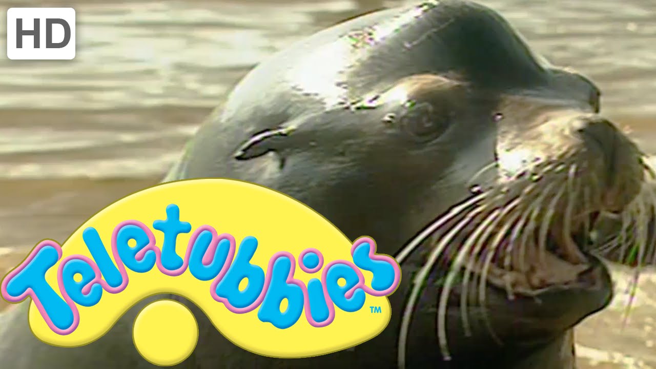 Teletubbies: Sea Lions - Full Episode