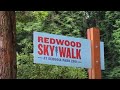 Redwood Sky Walk - Sequoia Park Zoo - Eureka CA