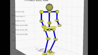 tpinokio robot static walk