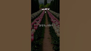 القرآن الكريم 🫀🎧 #القران_الكريم #اكسبلور #قران #المصحف #duet #دويتو #راحة_نفسية