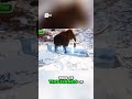 Bring Back Woolly Mammoths Become a De Extinction Scientist!