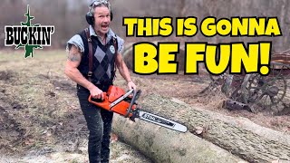 Download Lagu Buckin’ in the Hardwoods of the USA MP3