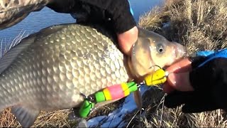 видео: 29.10.25,Сокола,часть вторая. картинка: 29.10.25,Сокола,часть вторая.