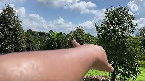 ✅ Bán 4200m2 đất . Vườn trái cây nghĩa dưỡng. Xã bảo bình. Cẩm Mỹ. Đồng Nai