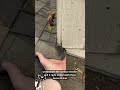 Charlotte NC Roof Leak Investigation