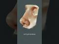 art process Reference study | NOSES #digitalart #speedpaint #drawing