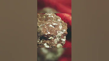 Kimberlite Rough Diamond 