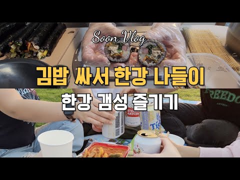어려운 한강 갬성 즐기기 | 소풍엔 김밥 필수 | 친구들과 한강 나들이 브이로그 | 그리고 피자+양주, 보쌈+칼국수, 타코야끼, 남성역 쌈반 샤브샤브, 맘스터치 vlog