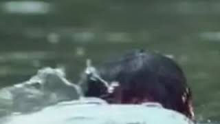 Lalettan Whats App Stausraja Rajave