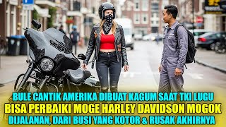 Download Lagu TKI LUGU YANG DIREMEHKAN, JUSTRU JADI PENYELAMAT MOGE HARLEY DAVIDSON BOS CANTIK! MP3