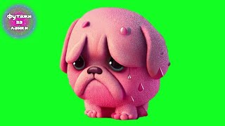 Печальная Розовая Собака На Зеленом Фоне