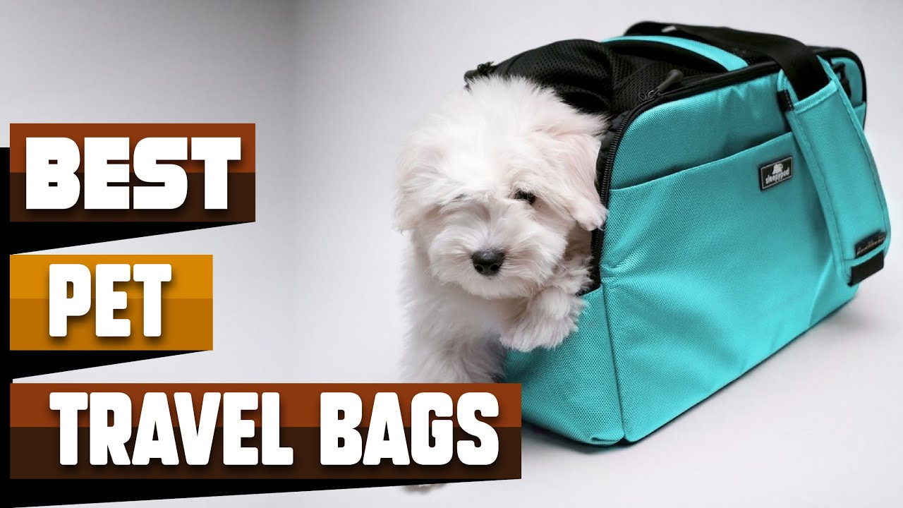 The 10 Best Dog Travel Bags in 2023 Totes Backpacks