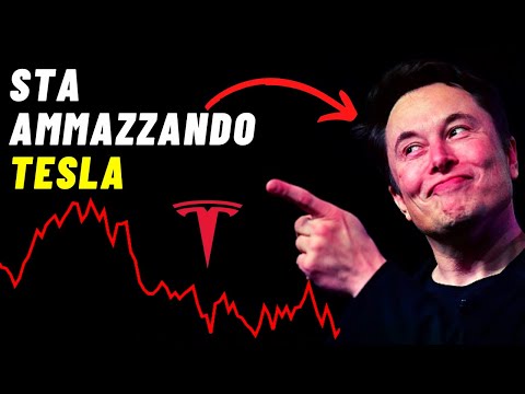 Video: Tesla ha realizzato un profitto?