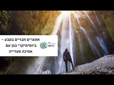 וִידֵאוֹ: לראות את החומר וליצור