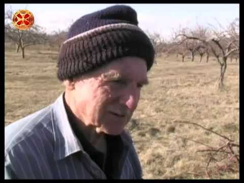 მგზავრები წუთისოფლისა - სამაჩაბლო