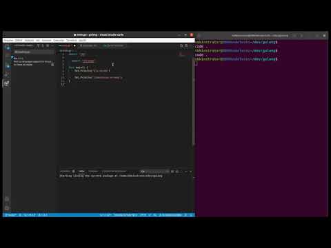 0020-05 Ambiente de Desenvolvimento IDE de Golang no Visual Studio Code com Extensao para Go