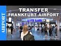 Transfer at Frankfurt Airport - Connection Flight at Frankfurt am Main Airport - Travel video