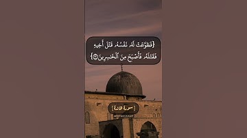 سورة المائدة الآية ٢٩ الى ٣١ بصوت الشيخ محمد صديق المنشاوي